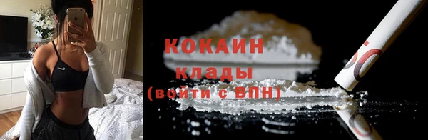 индика Абинск