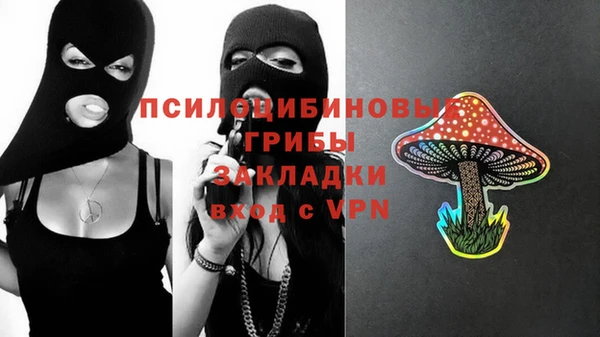 не бодяженный Алзамай