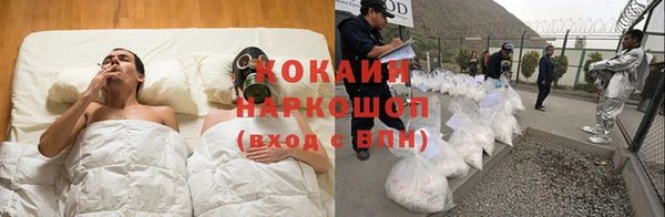 индика Абинск