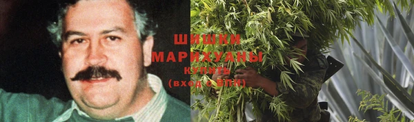 индика Абинск