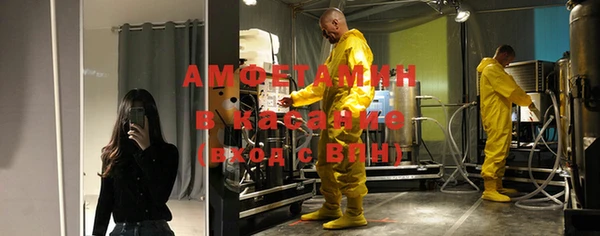 индика Абинск
