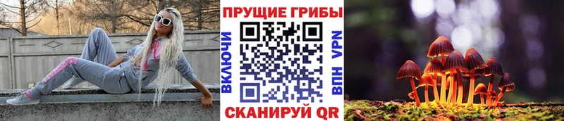 купить   Среднеколымск  Псилоцибиновые грибы ЛСД 